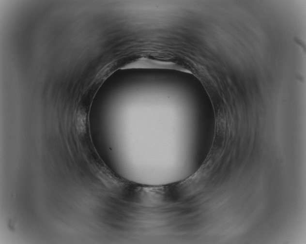 X0000091200188200708231538