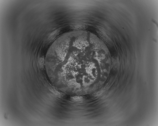 X0000091200189200708231538