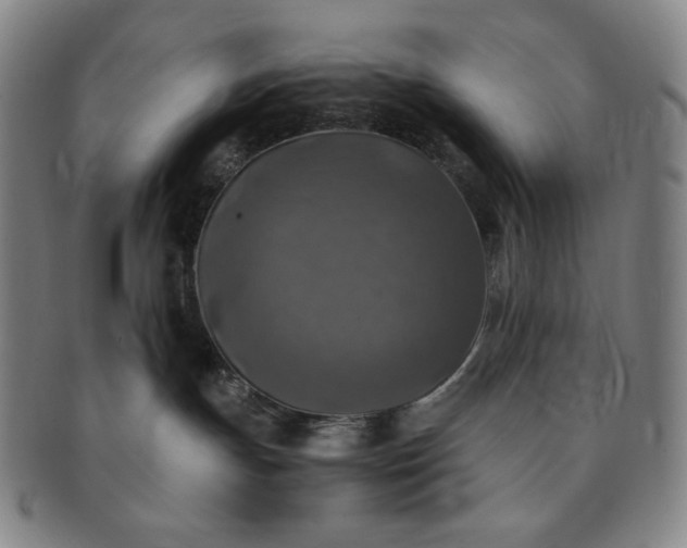 X0000091200191200708231538
