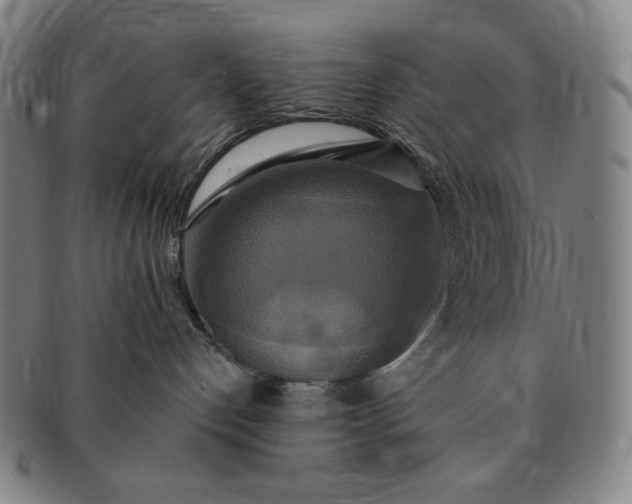 X0000091200192200708231538