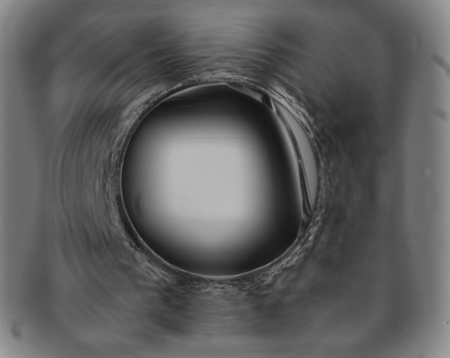 X0000091200193200708231538