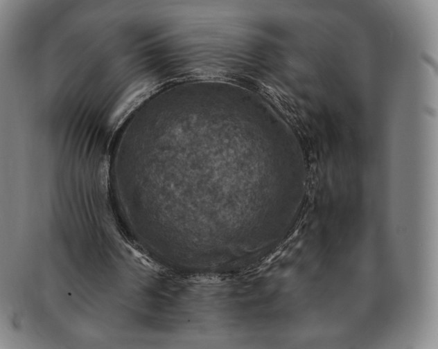 X0000091200194200708231538