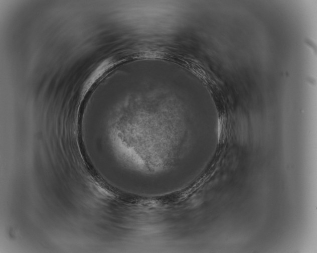X0000091200195200708231538