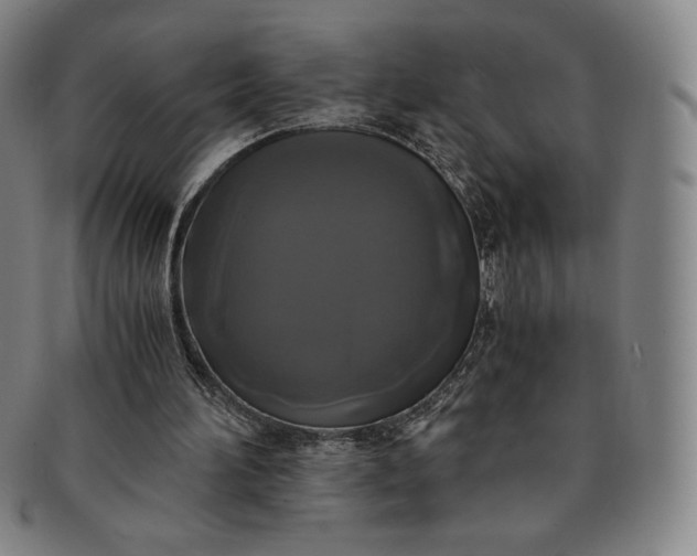 X0000091200196200708231538