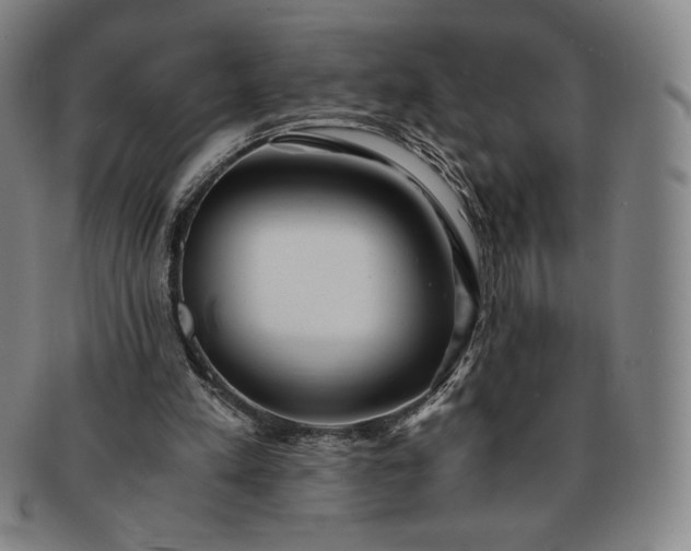 X0000091200197200708231538