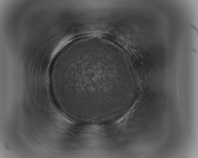 X0000091200198200708231538