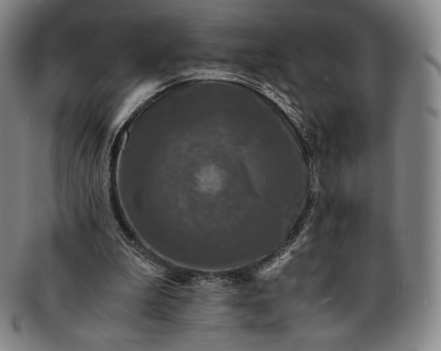 X0000091200199200708231538