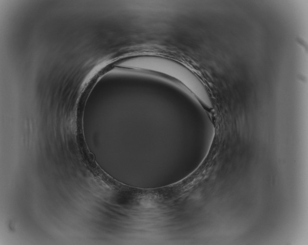 X0000091200200200708231538