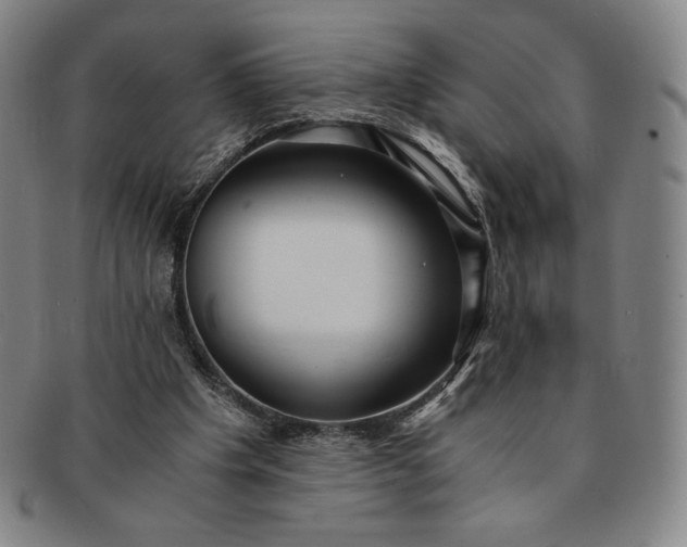 X0000091200201200708231538