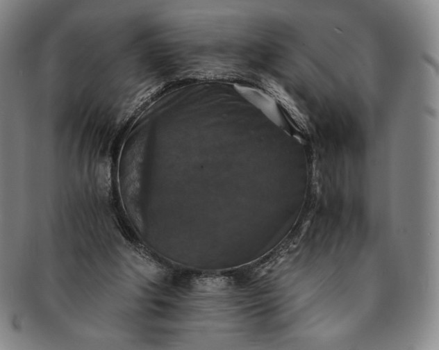 X0000091200202200708231538