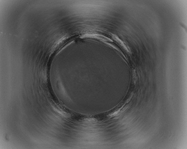 X0000091200203200708231538