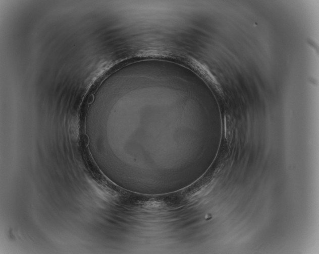 X0000091200204200708231538