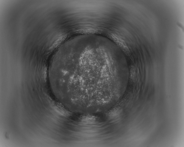 X0000091200206200708231538