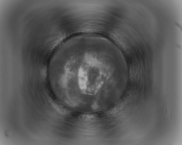 X0000091200208200708231538