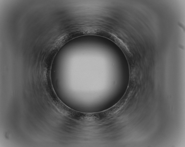 X0000091200209200708231538
