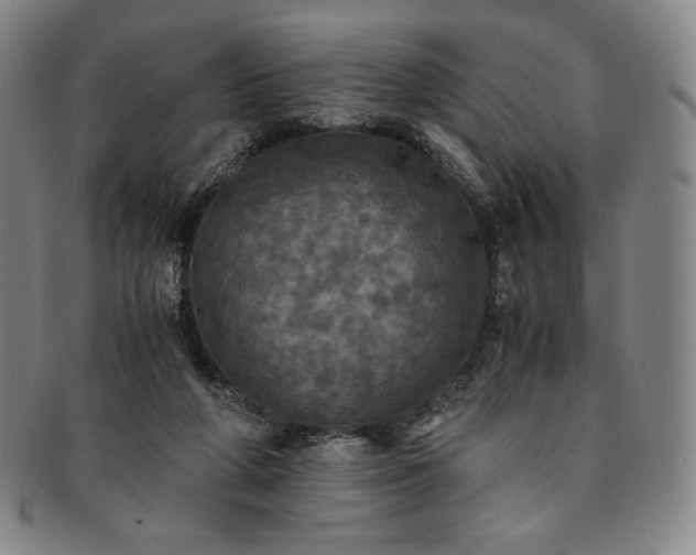 X0000091200210200708231538