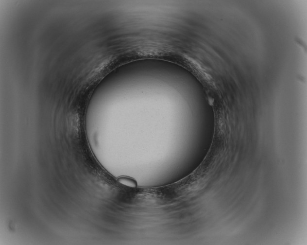 X0000091200211200708231538