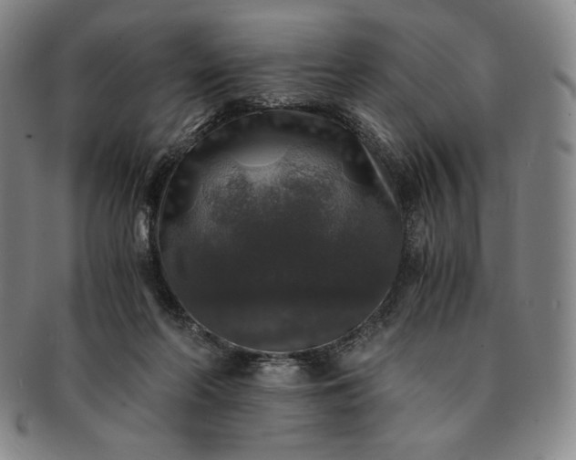 X0000091200214200708231538