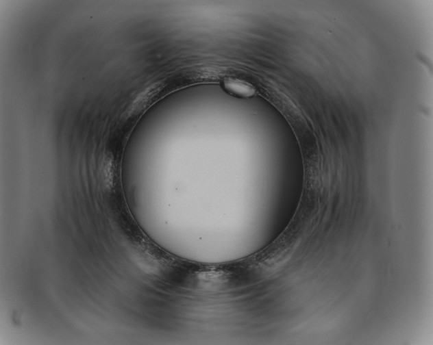 X0000091200216200708231537