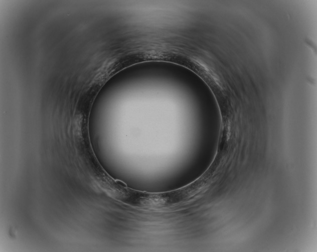 X0000091200217200708231537