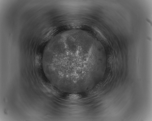 X0000091200218200708231537