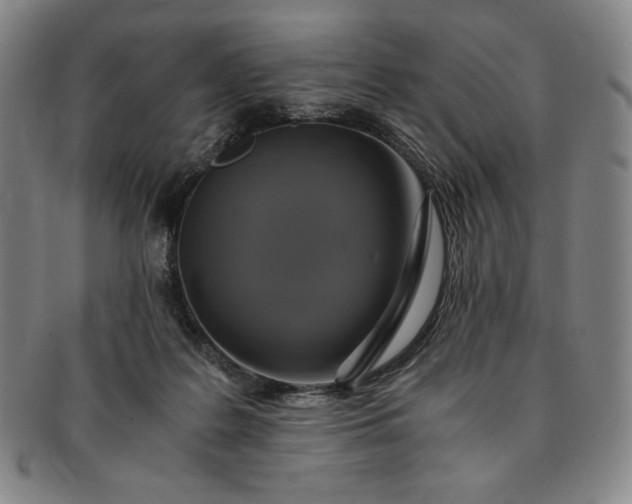 X0000091200219200708231537