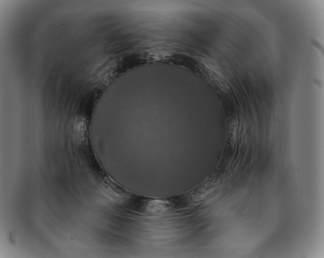 X0000091200222200708231537