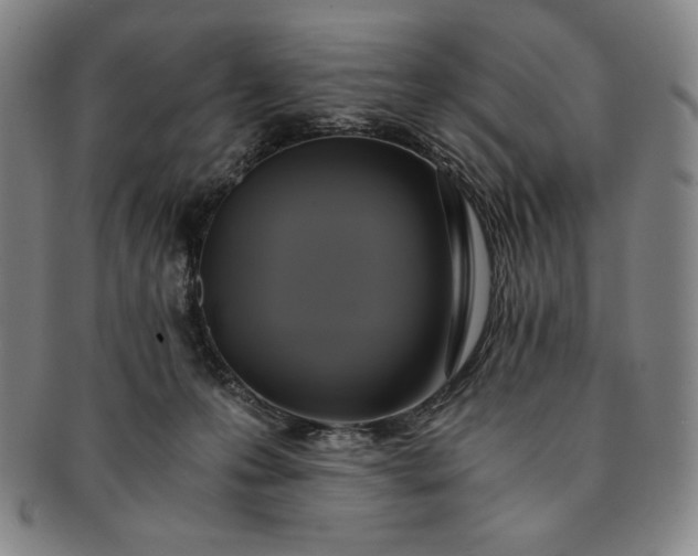 X0000091200223200708231537