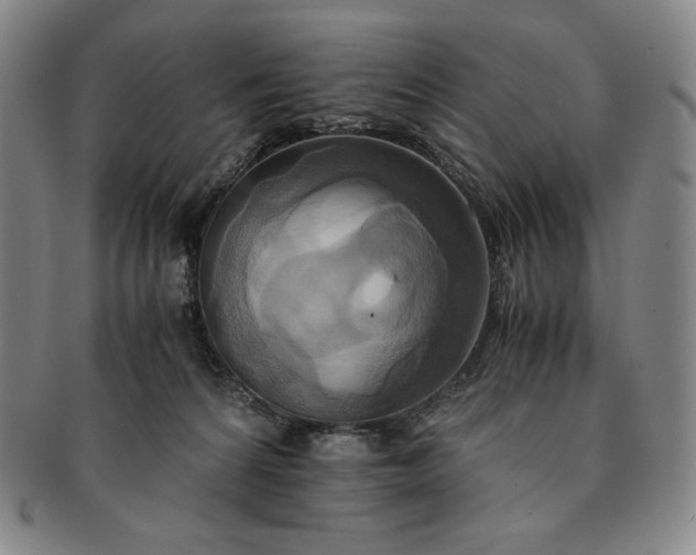 X0000091200224200708231537