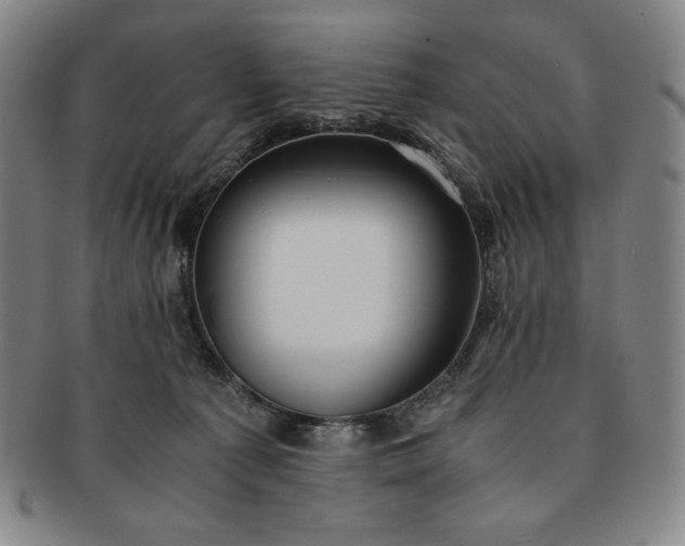 X0000091200225200708231537