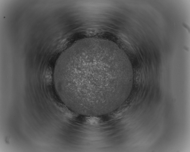 X0000091200226200708231537