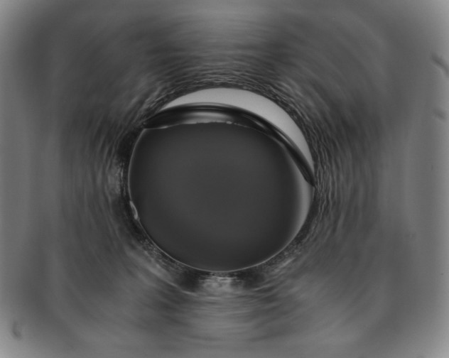 X0000091200227200708231537