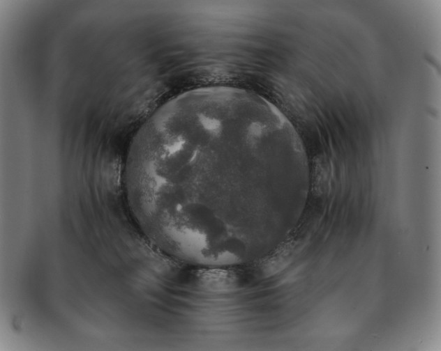 X0000091200230200708231537