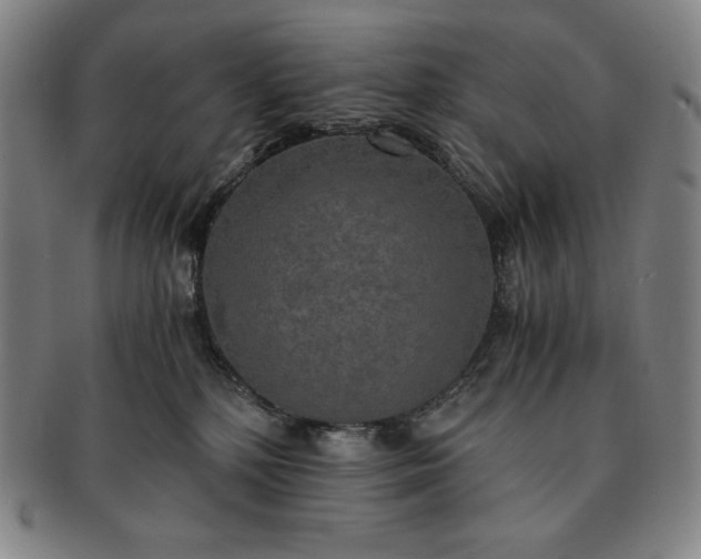X0000091200232200708231537