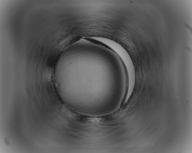 X0000091200233200708231537