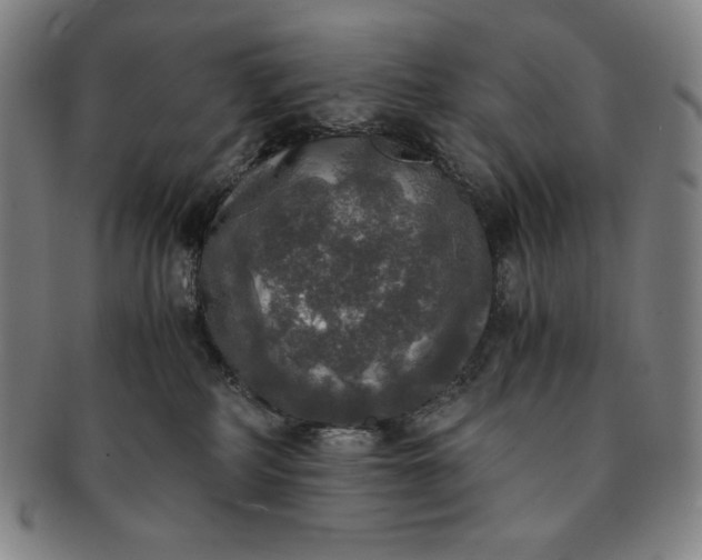 X0000091200234200708231537