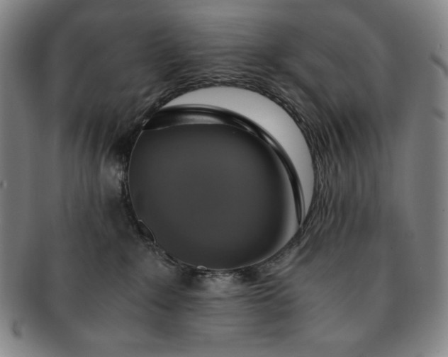 X0000091200235200708231537