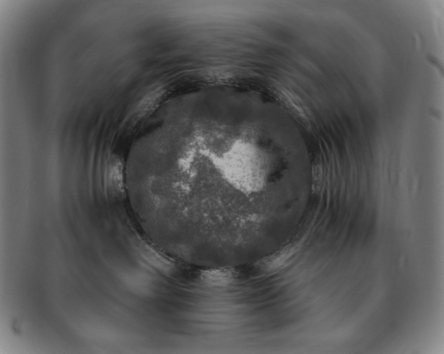 X0000091200238200708231537