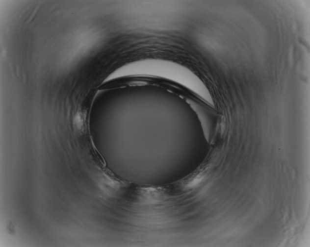 X0000091200239200708231537