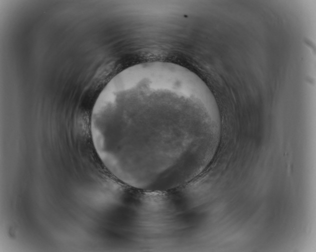 X0000091200240200708231537