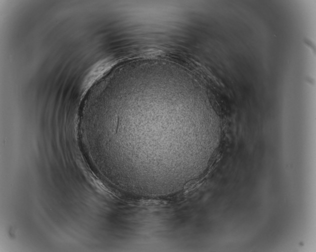 X0000091200242200708231536