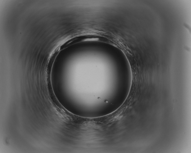X0000091200244200708231536