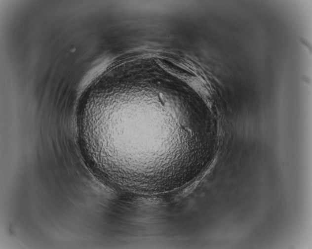 X0000091200245200708231536