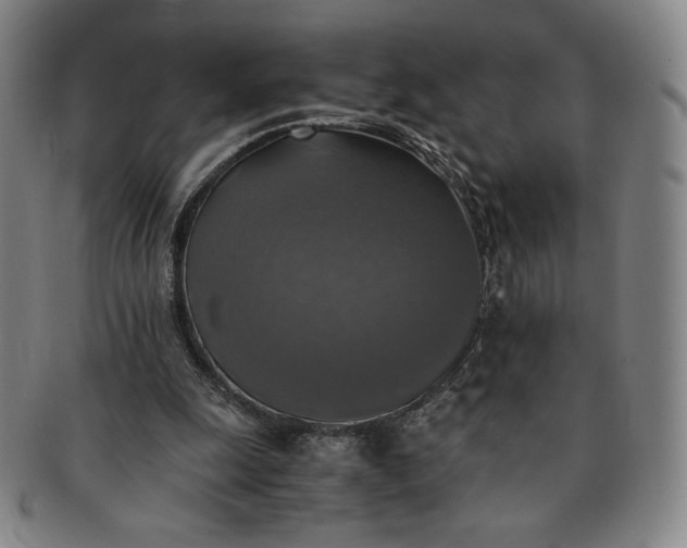 X0000091200247200708231536