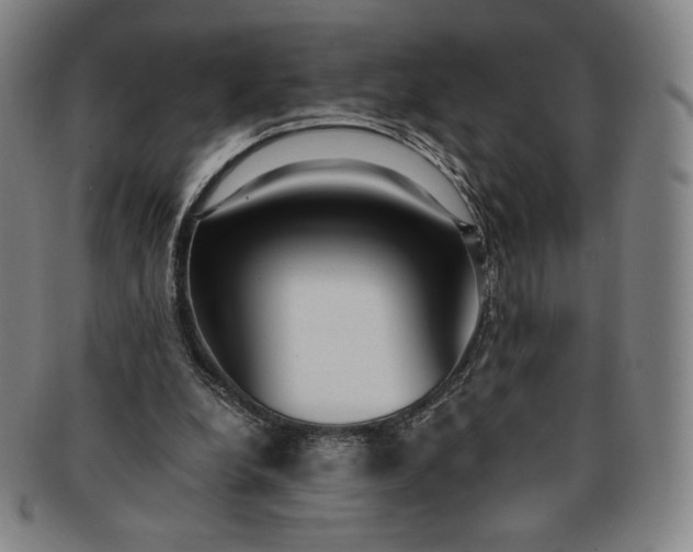X0000091200248200708231536