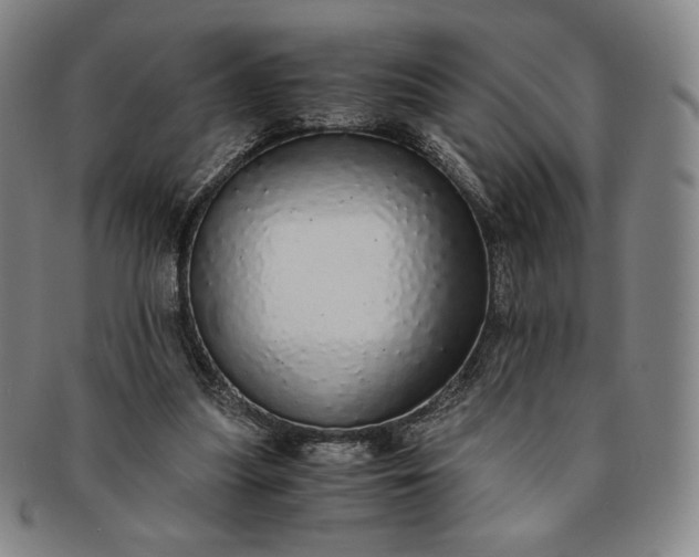 X0000091200251200708231537