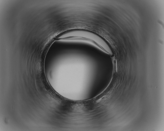 X0000091200252200708231537
