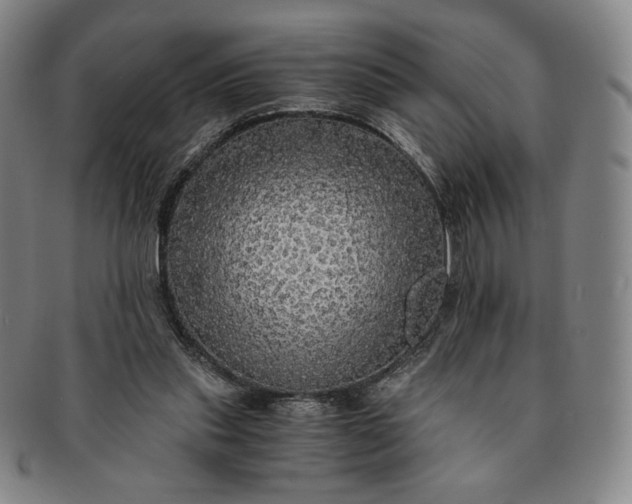 X0000091200253200708231537