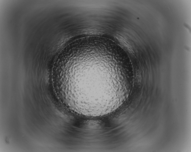 X0000091200255200708231537
