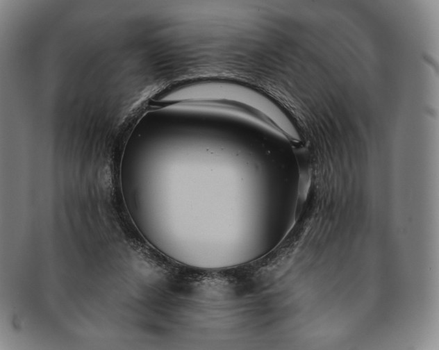 X0000091200256200708231537